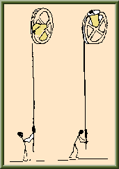 bellringers